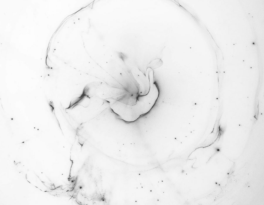 compromiso-calidad-producto